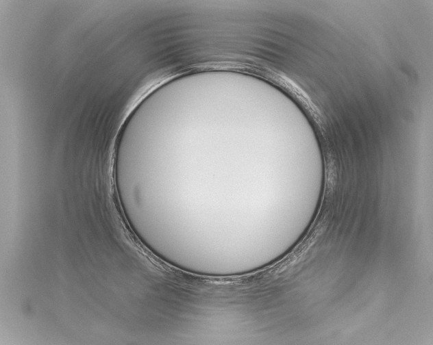 X0000116021378200911200930