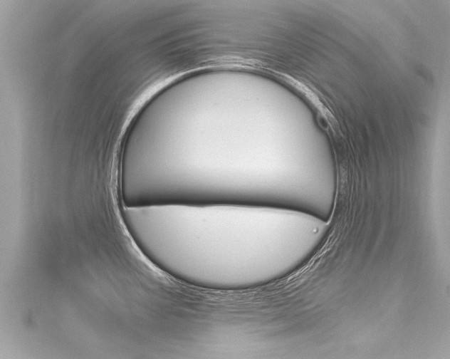 X0000116021387200911200929