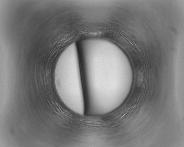 X0000116021394200911200929