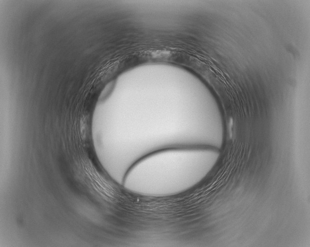 X0000116021395200911200929