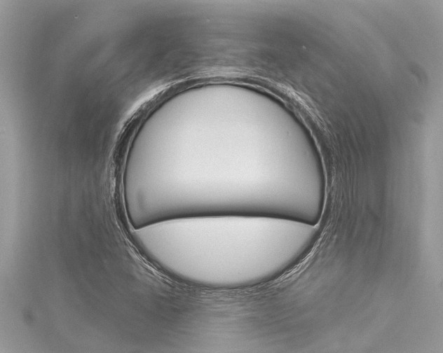 X0000116021406200911200929