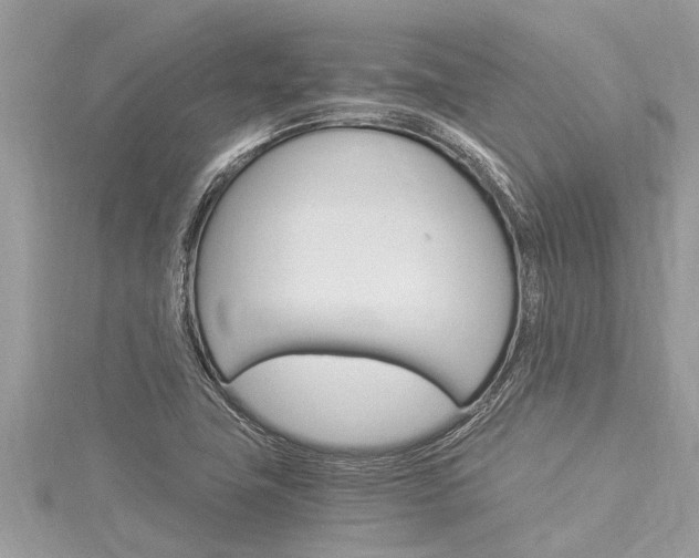 X0000116021411200911200929