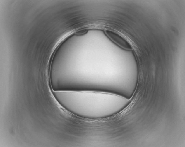 X0000116021434200911200929