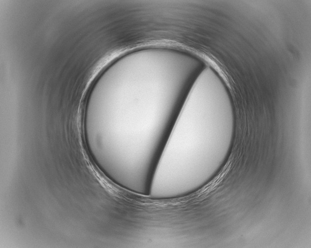 X0000116021438200911200929