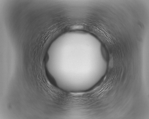 X0000116021441200911200929