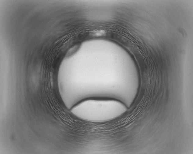 X0000116021442200911200929