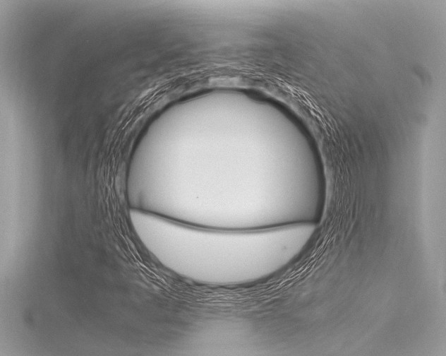 X0000116021445200911200929
