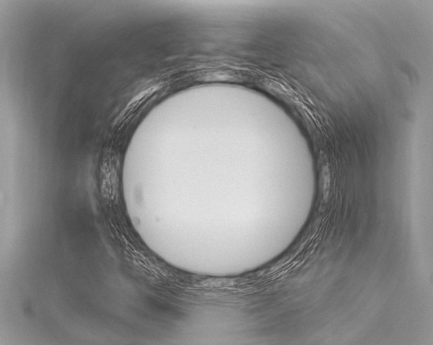 X0000116021446200911200929