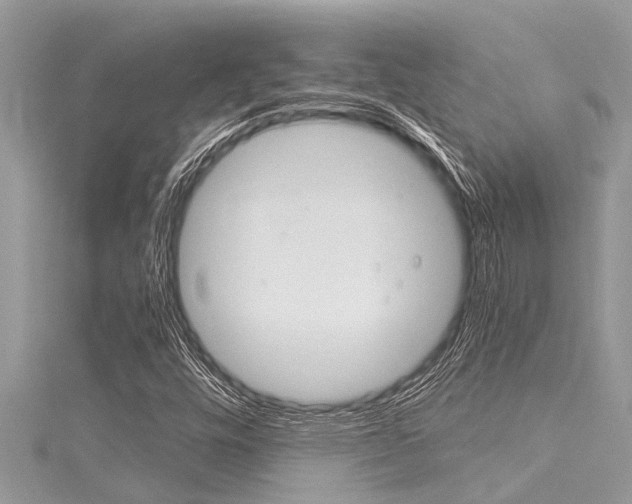 X0000116021448200911200929
