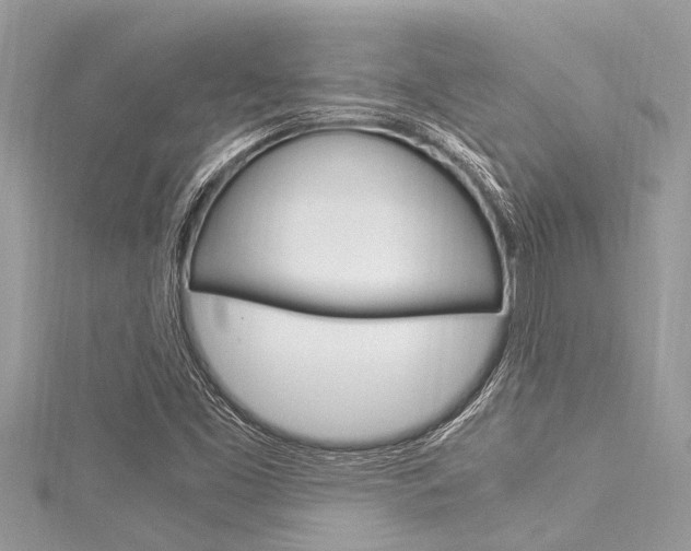 X0000116021453200911200929