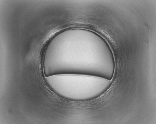 X0000116021455200911200929