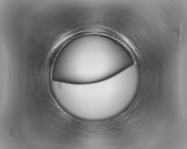 X0000116021456200911200929