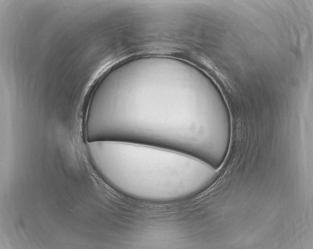 X0000116021459200911200929