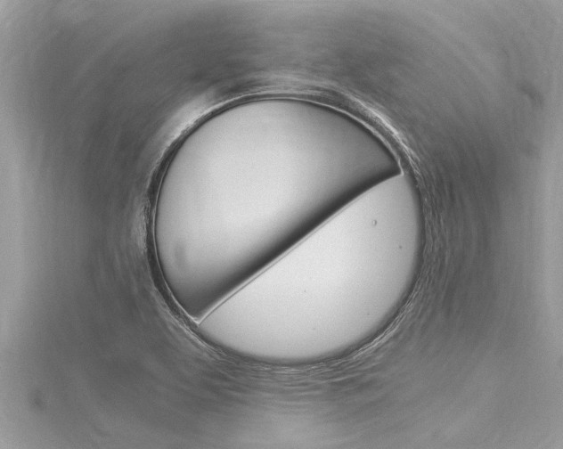 X0000116021463200911200928