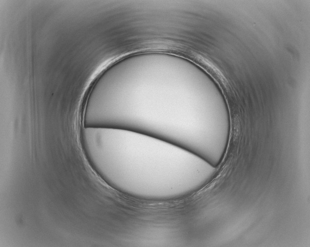 X0000116021467200911200928