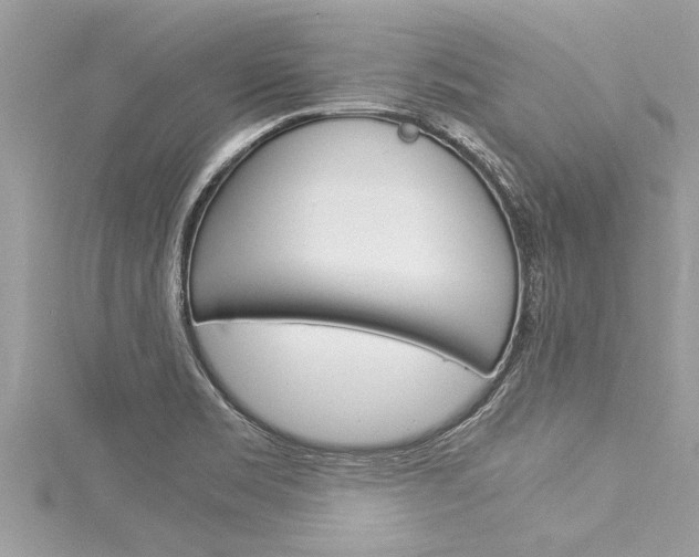 X0000116021469200911200928