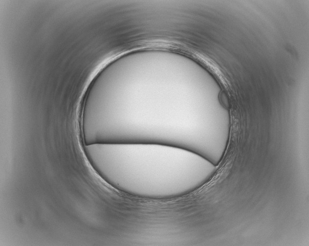X0000116021475200911200928
