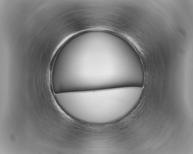 X0000116021476200911200928