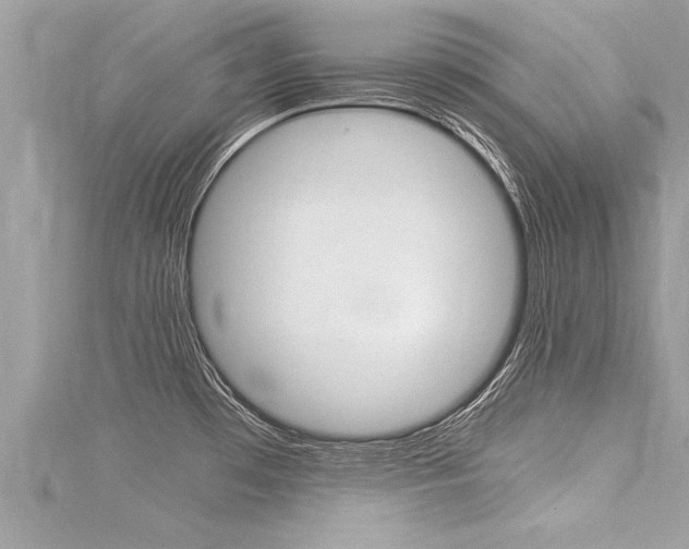 X0000116021481200911200928