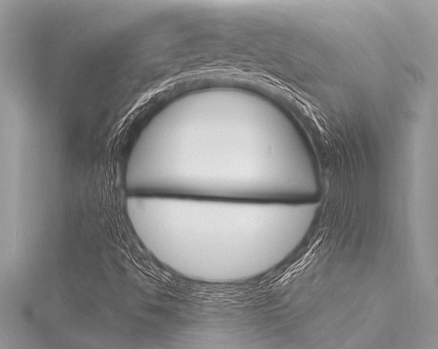 X0000116021494200911200928