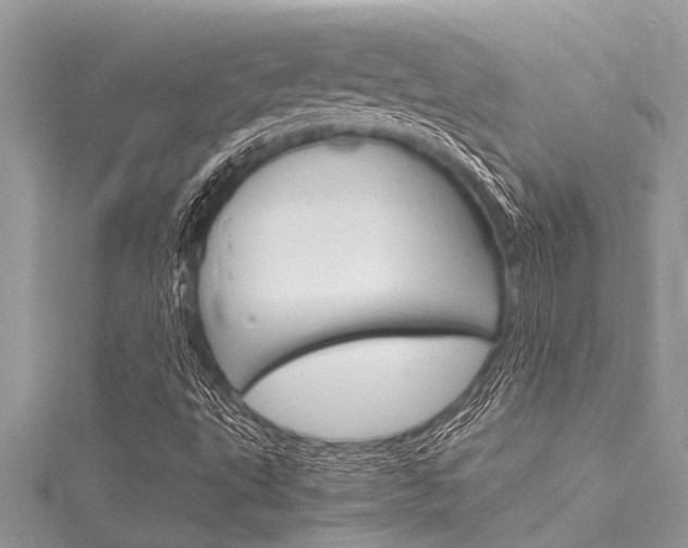 X0000116021495200911200928