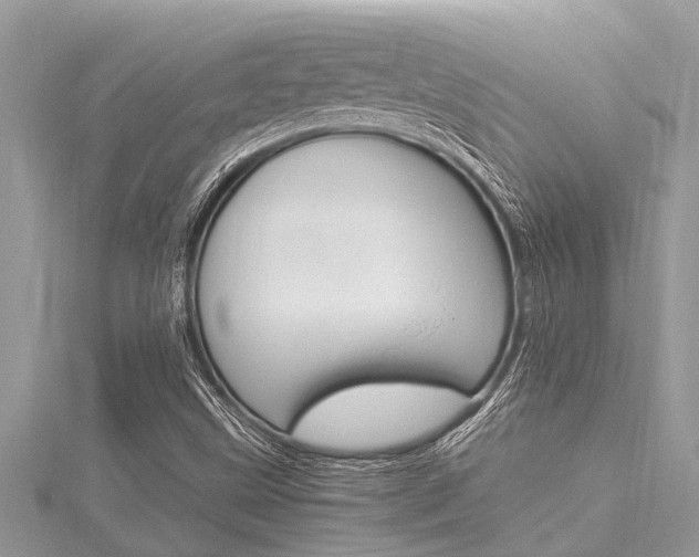 X0000116021499200911200928