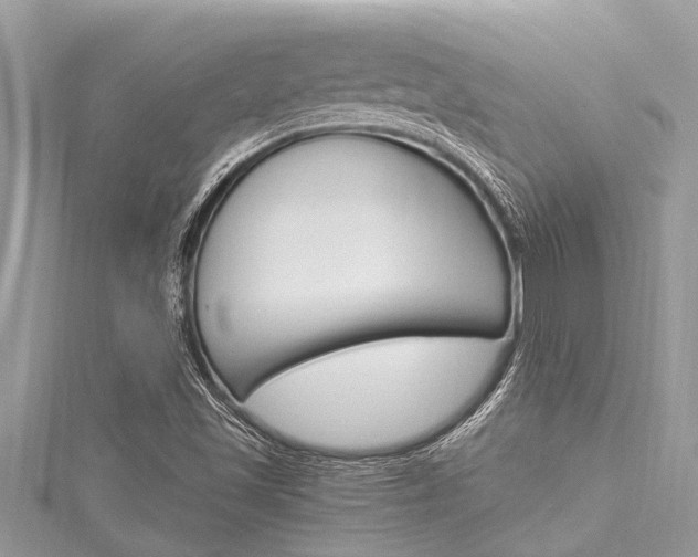 X0000116021501200911200928