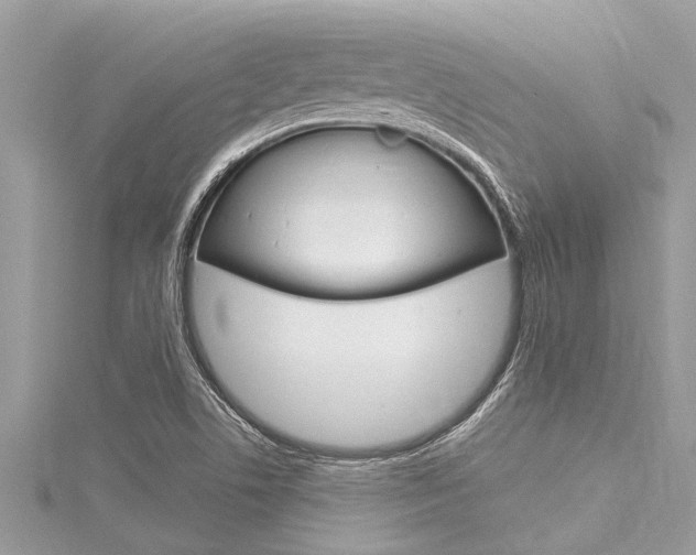 X0000116021506200911200928