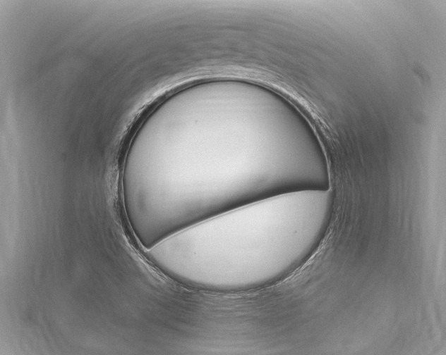 X0000116021507200911200928