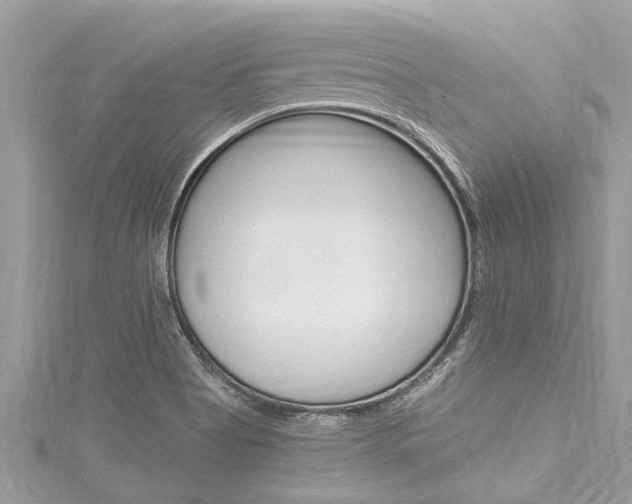 X0000116021513200911200928