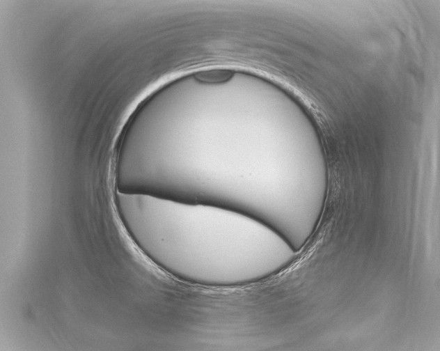 X0000116021526200911200928