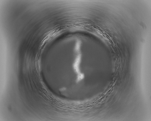 X0000116020002200911201244