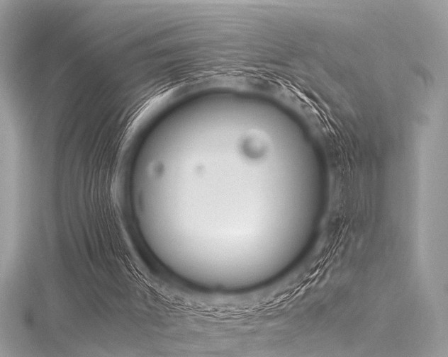 X0000116020003200911201244