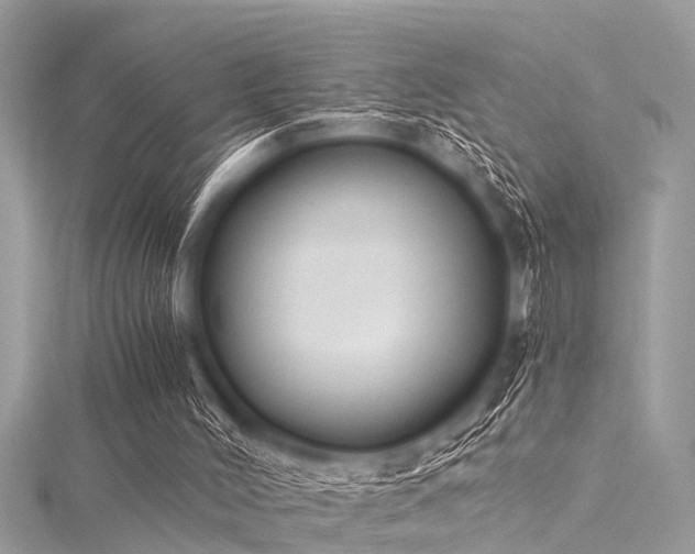 X0000116020004200911201244