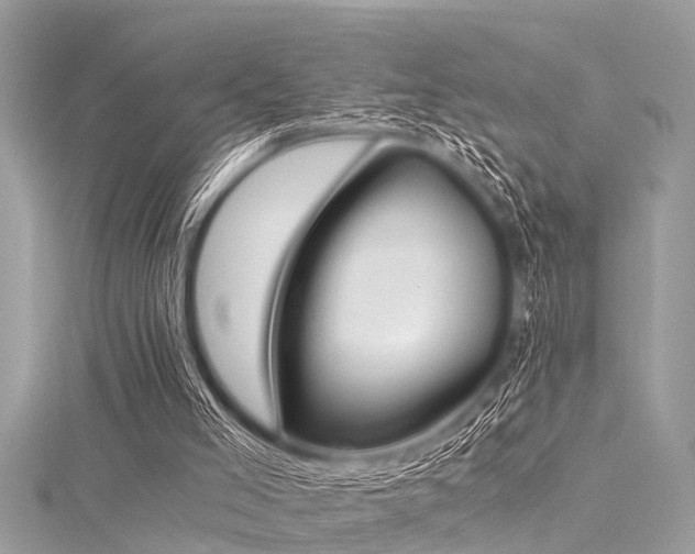 X0000116020005200911201244