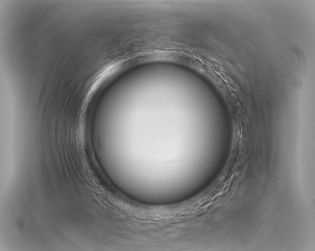 X0000116020006200911201244