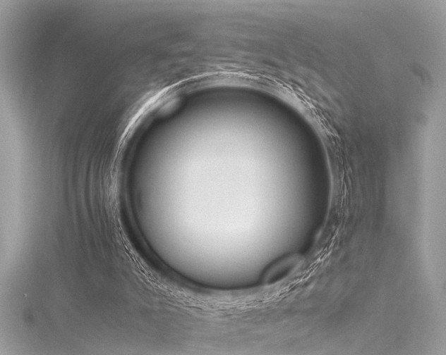 X0000116020007200911201244