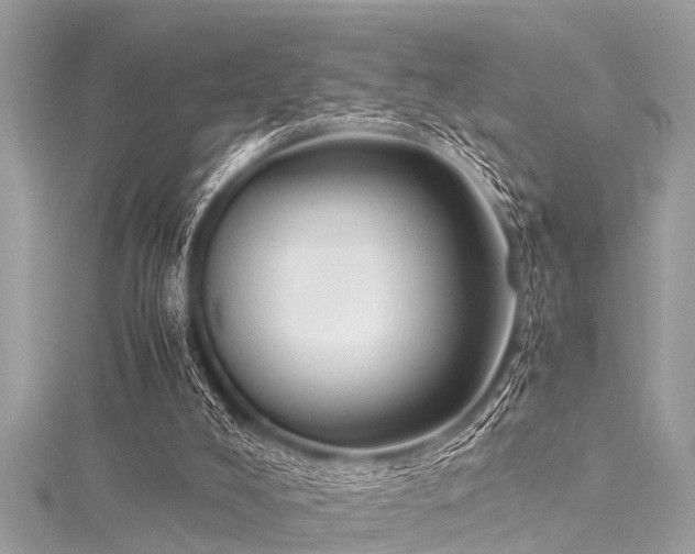 X0000116020008200911201244