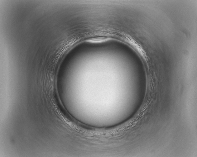 X0000116020009200911201244