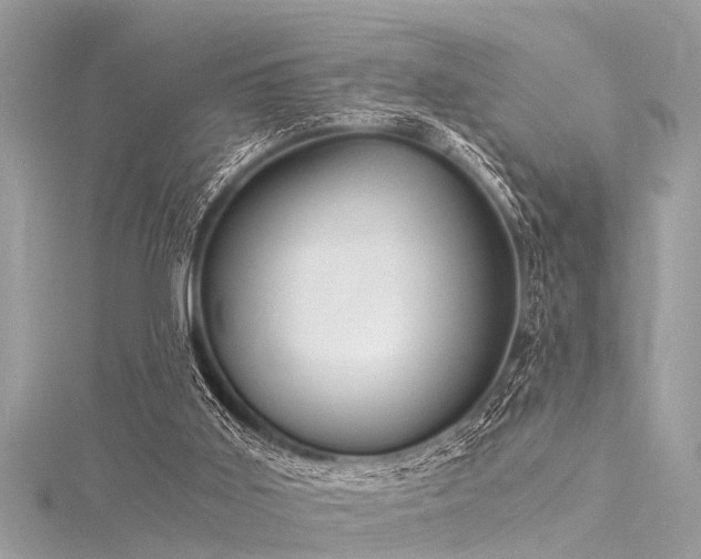 X0000116020011200911201244