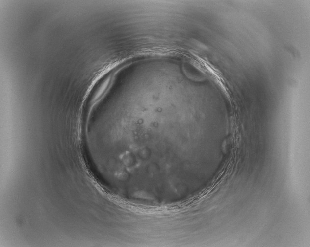 X0000116020012200911201244