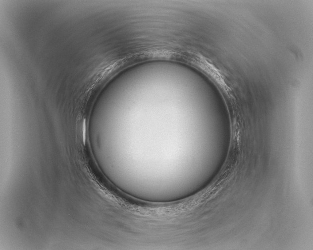 X0000116020013200911201244