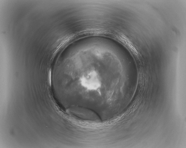 X0000116020014200911201244