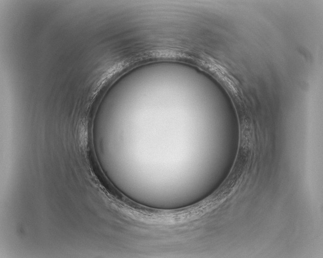 X0000116020015200911201244