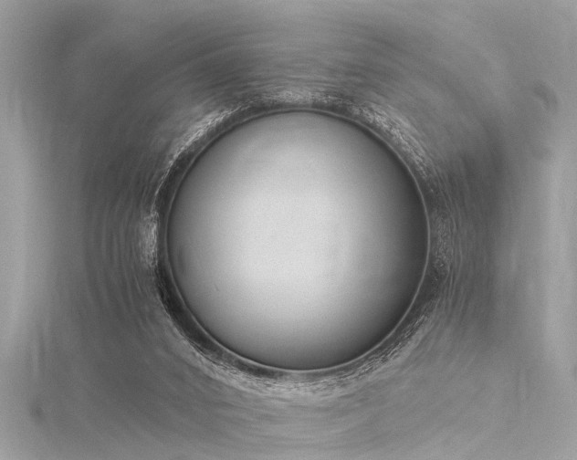 X0000116020016200911201244