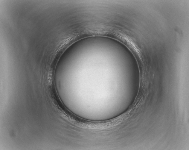 X0000116020017200911201244