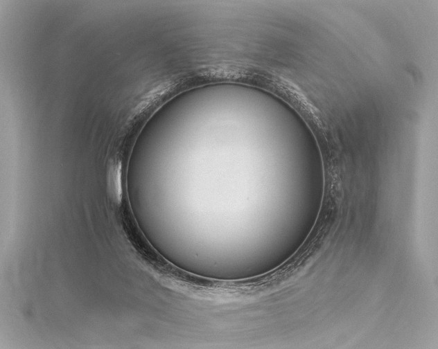 X0000116020020200911201243