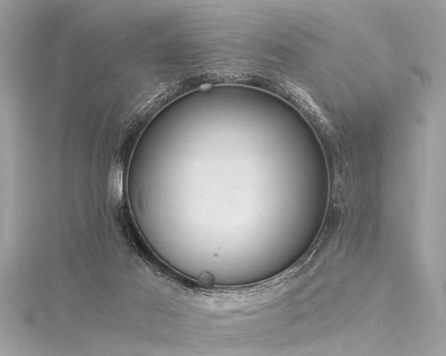 X0000116020021200911201243