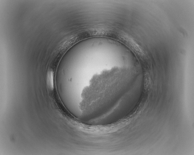 X0000116020022200911201243