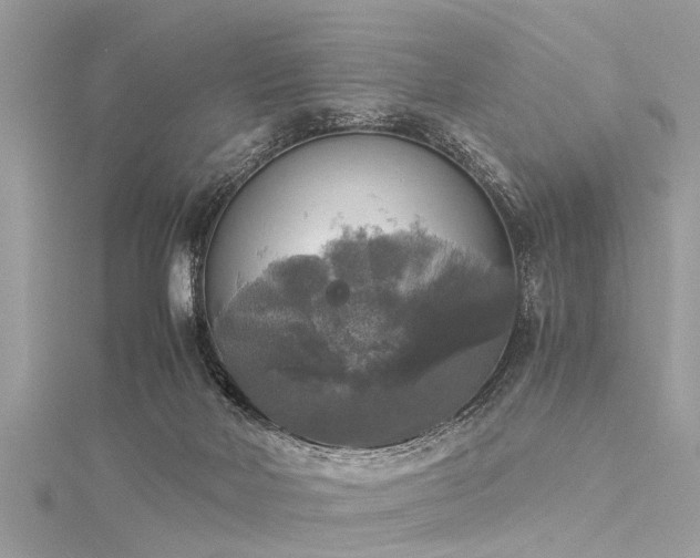 X0000116020026200911201243